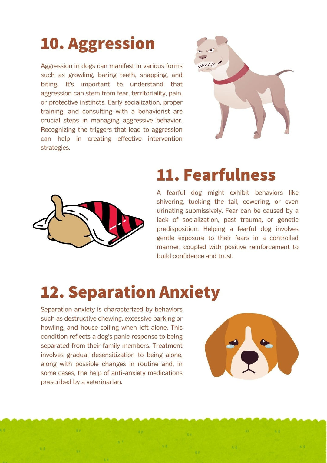 30 Ways to Understand Your Dog - Momomi