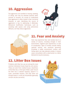 30 Ways to Understand Your Cat - Momomi