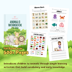 Pack de libros de actividades para niños