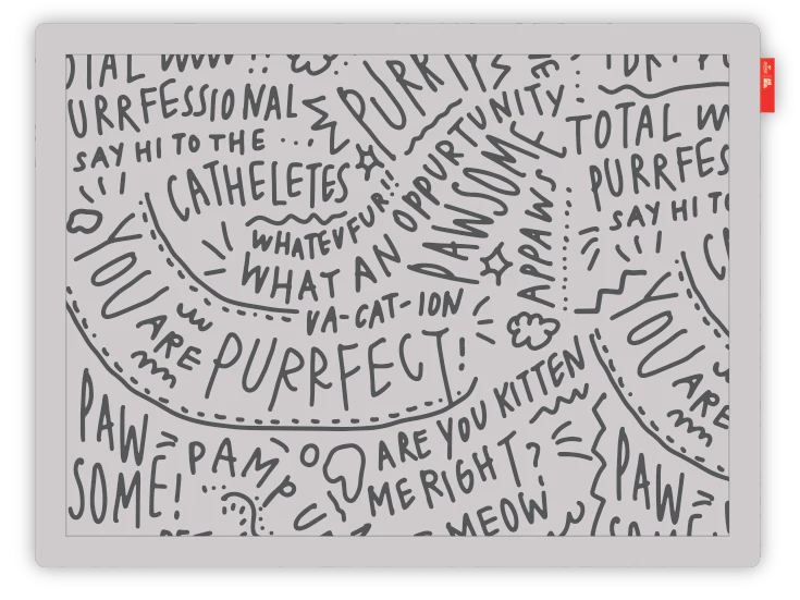 Momomi® x ANiMEAL Pet Mat - Momomi