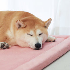 Momomi® Pet Mat - Momomi