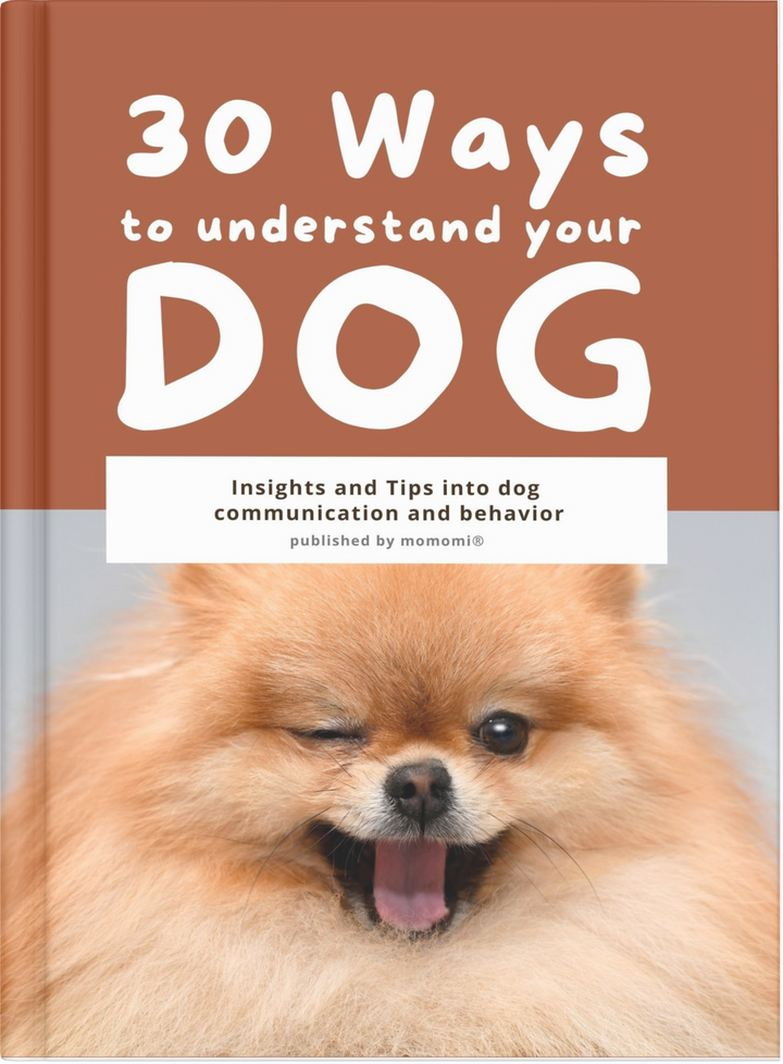 30 Ways to Understand Your Dog